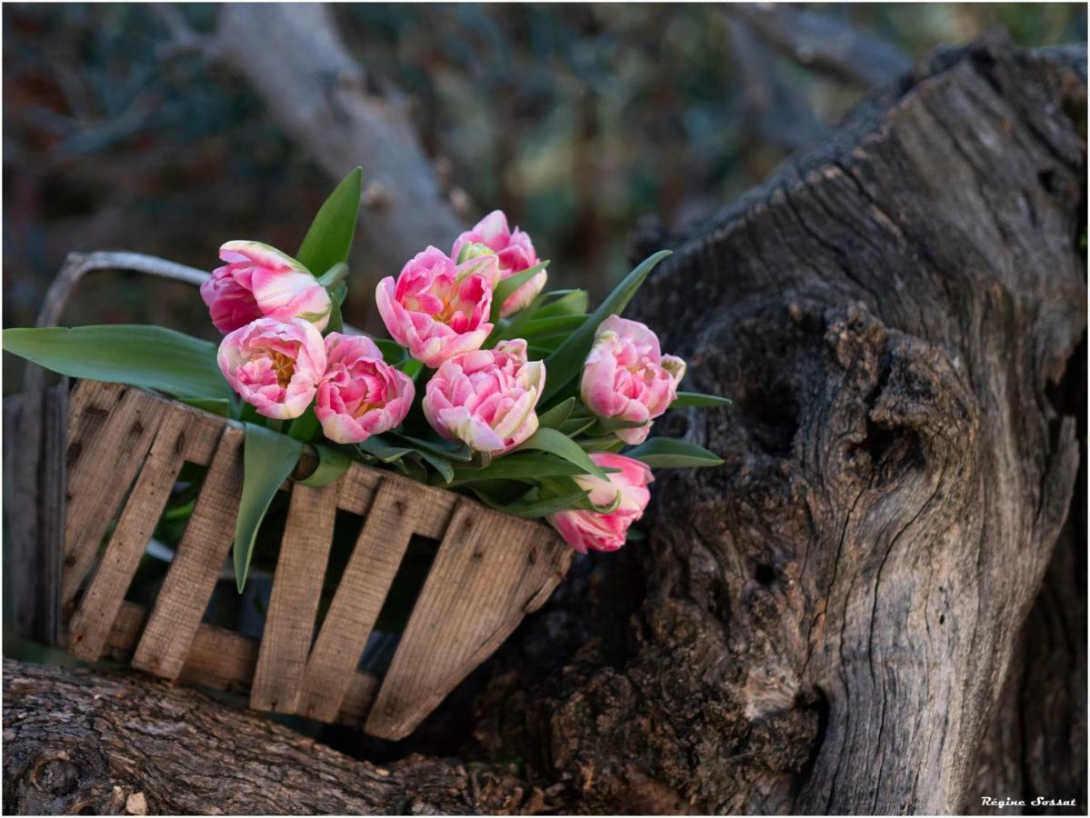 La Bastide Du Castellet Hotel Le Castellet  ภายนอก รูปภาพ